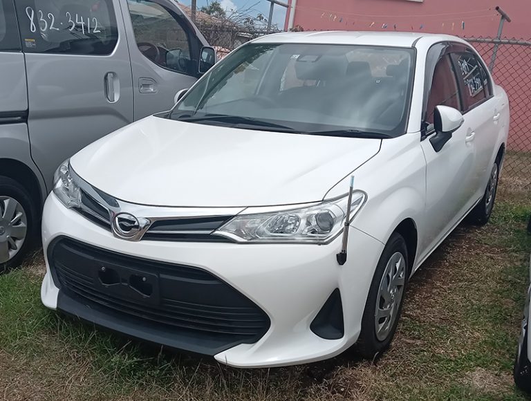 2019 Toyota Axio